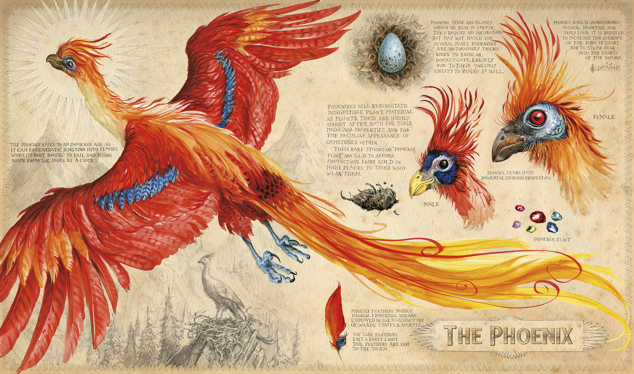 Image result for illustrated harry potter book 2
