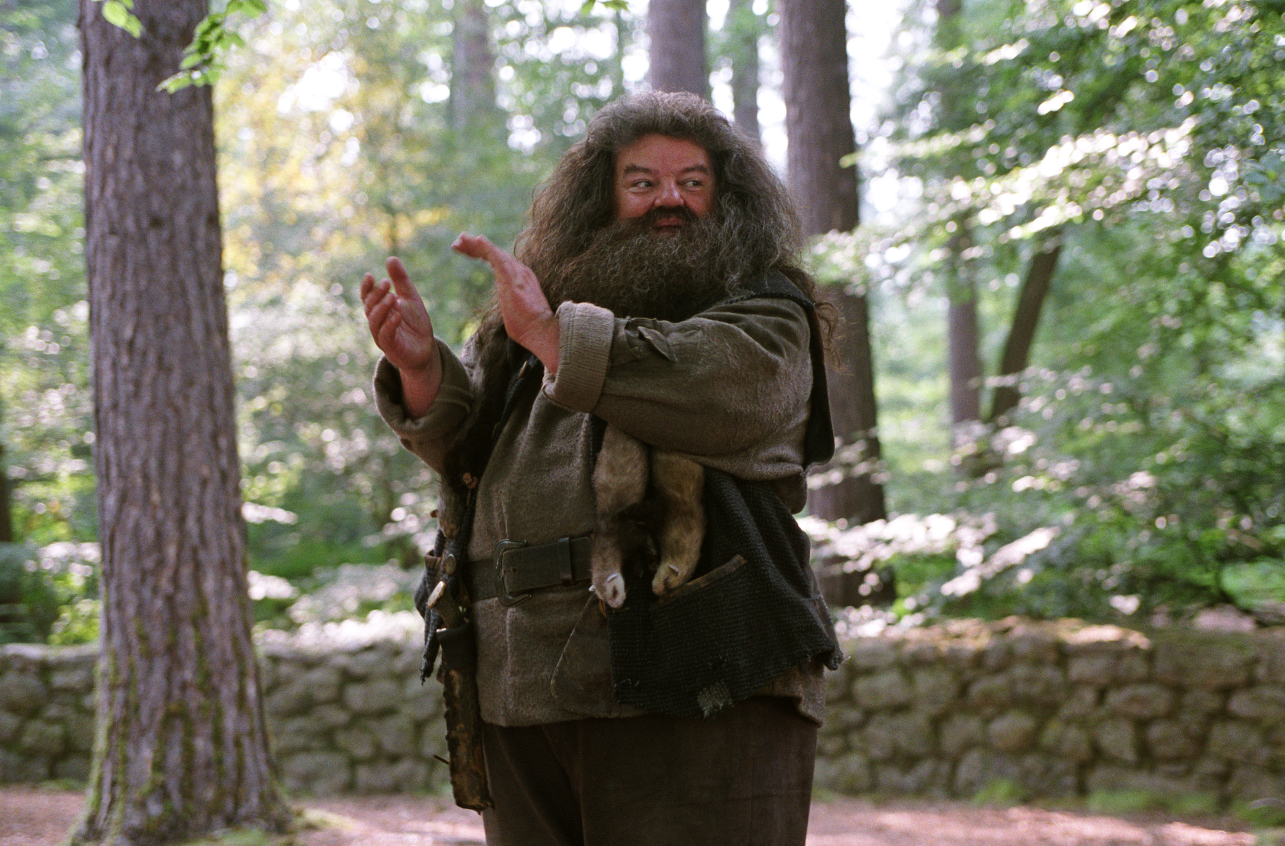 Harry teaching a lesson on the Forbidden Forest from the Prisoner of Azakaban 