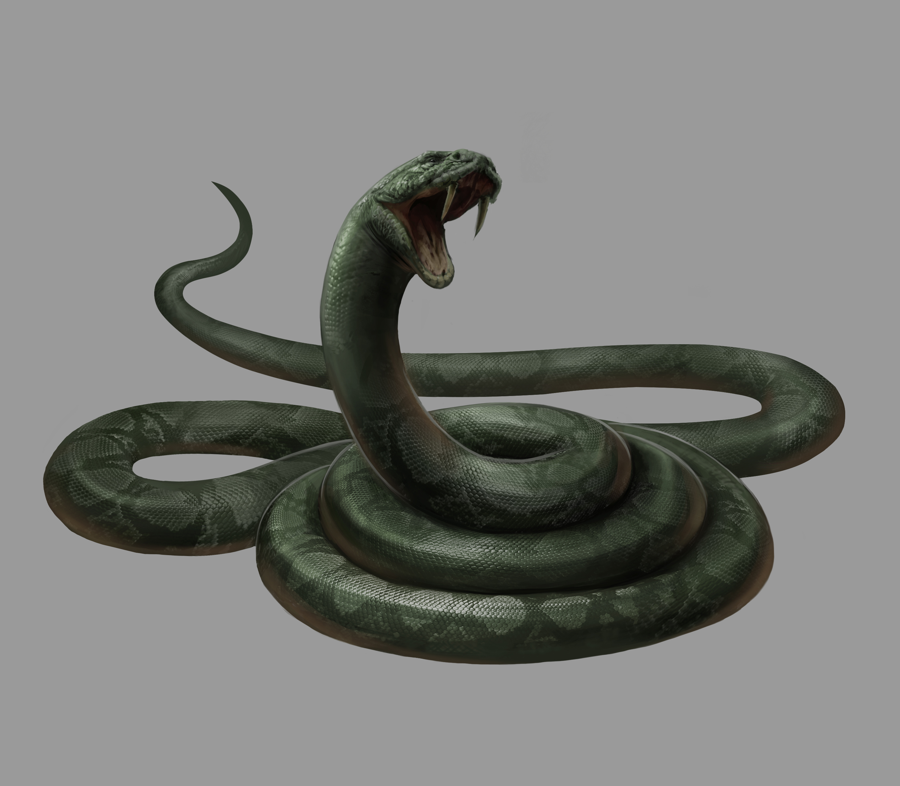 Illustration of Voldemort's snake Nagini