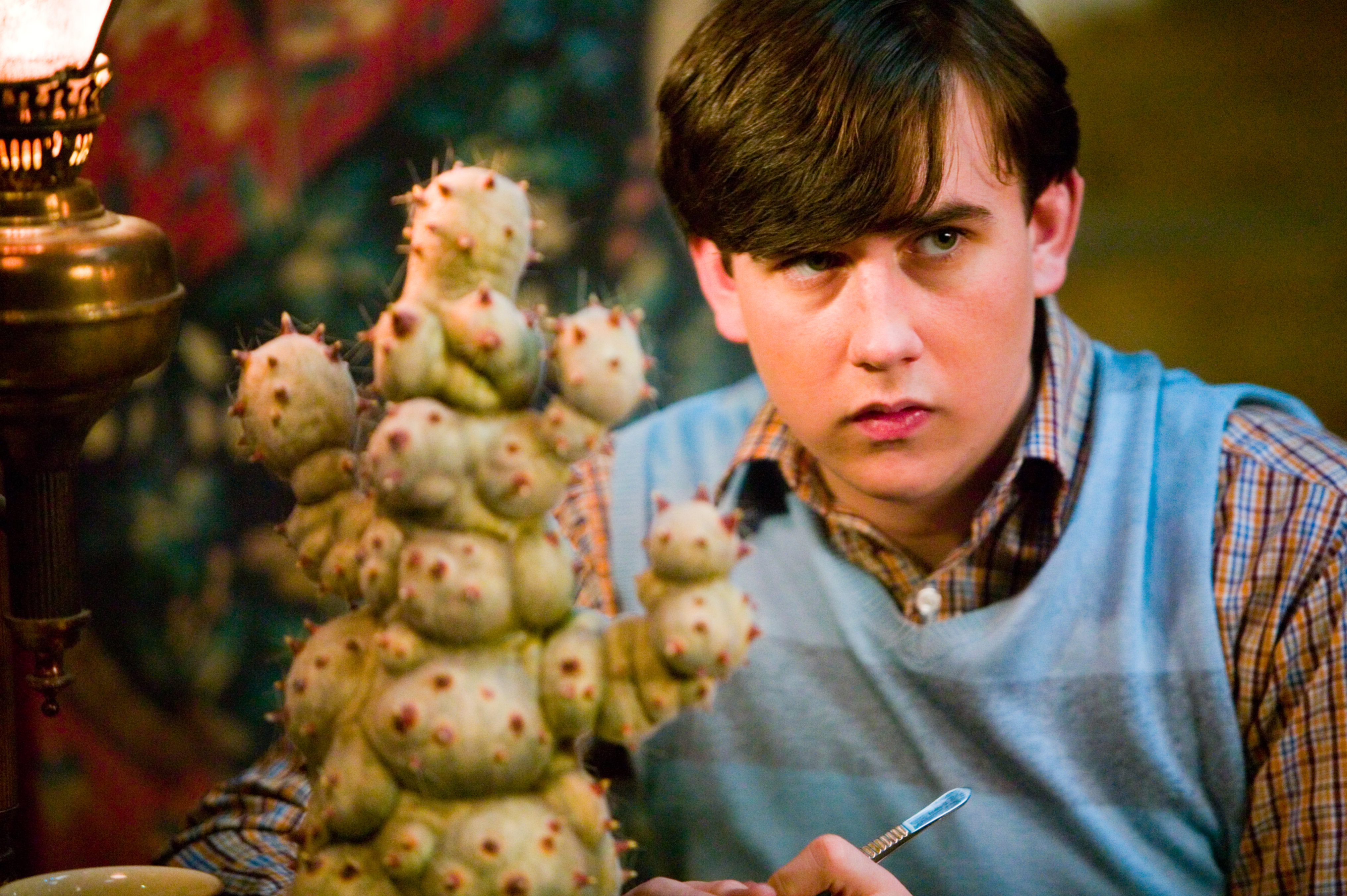 Neville with his Mimbulus Mimbletonia in a Herbology class