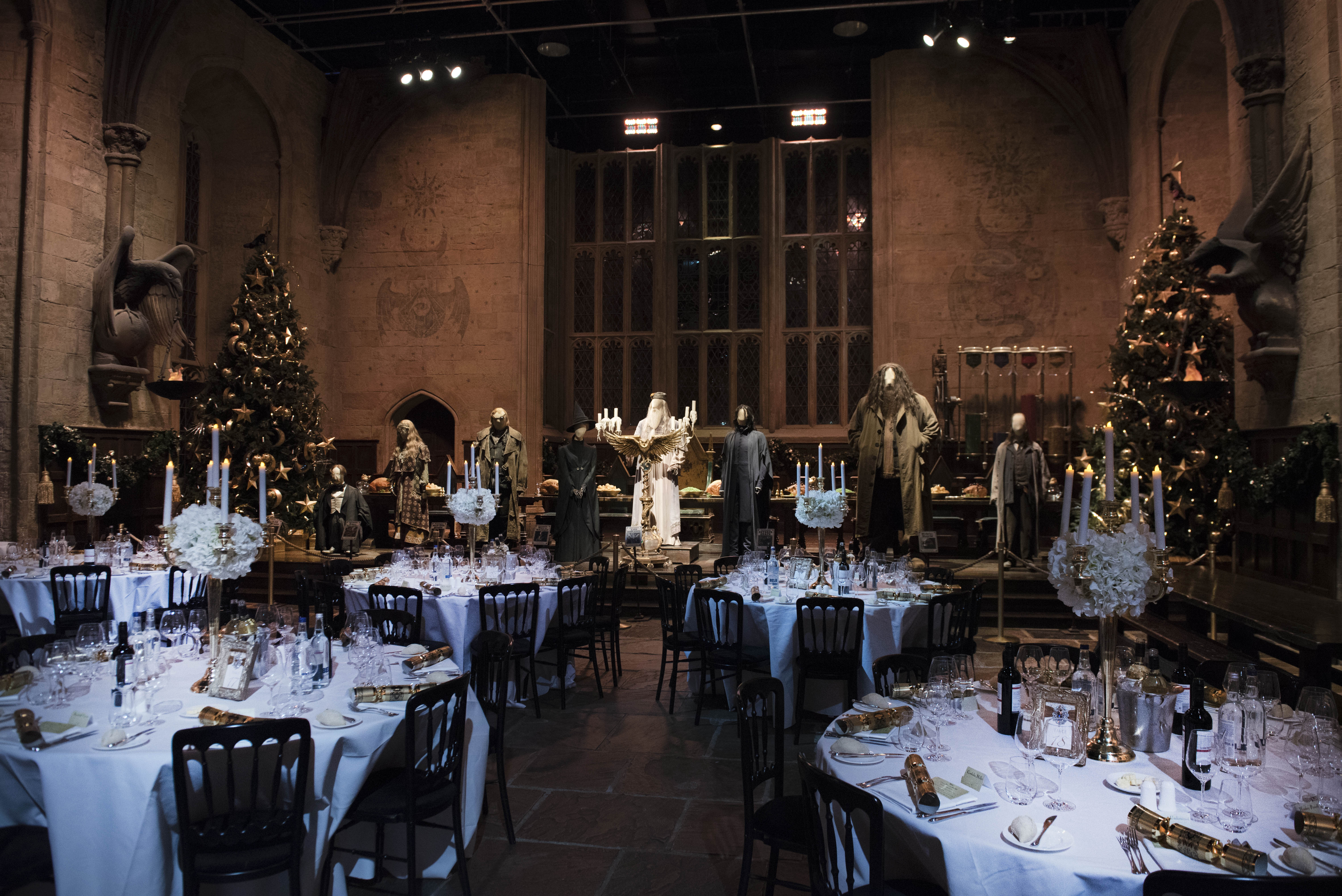 Would you like to dine at Hagwarts'great hall ?  Harry_Potter_Xmas_dinner-4360